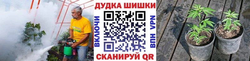 МАРИХУАНА SATIVA & INDICA Гулькевичи